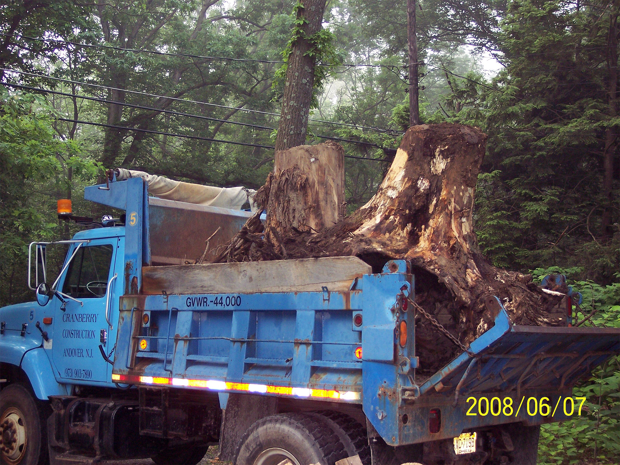 Stump Removal Sussex COunty NJ